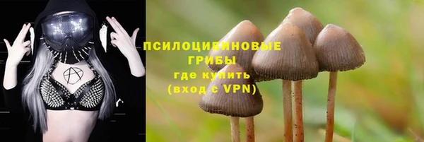 дживик Нязепетровск