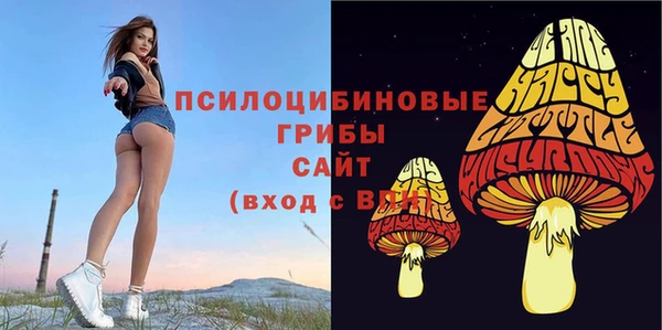 2c-b Абинск