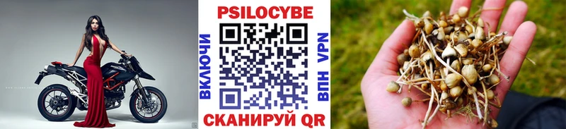 Галлюциногенные грибы ЛСД  OMG зеркало  Плавск  наркота 